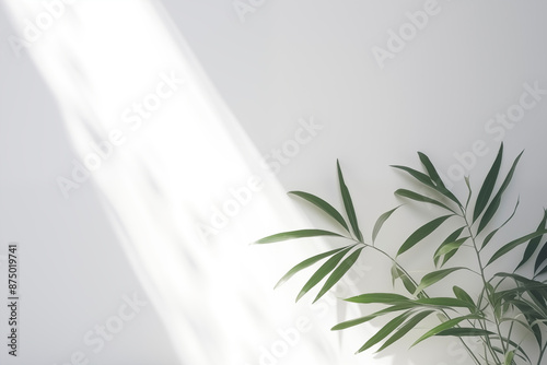 A light and minimalistic background with green foliage, emphasizing simplicity and elegance with soft shadows and a serene atmosphere.

