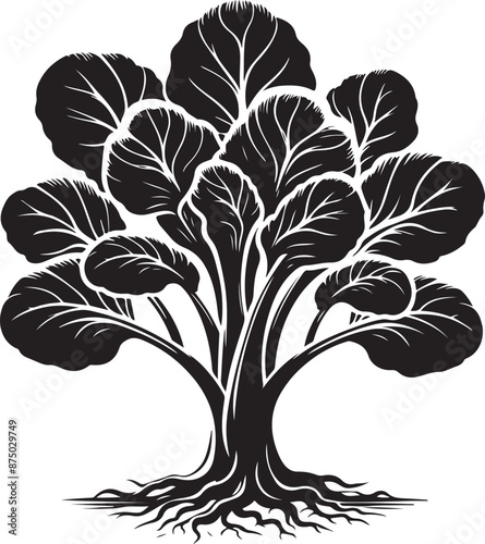 bok choy Tree, vector black color silhouette