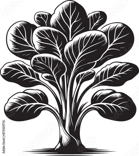 bok choy Tree, vector black color silhouette