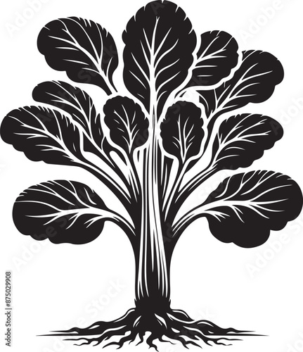 bok choy Tree, vector black color silhouette