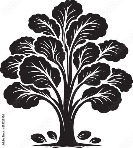 bok choy Tree, vector black color silhouette