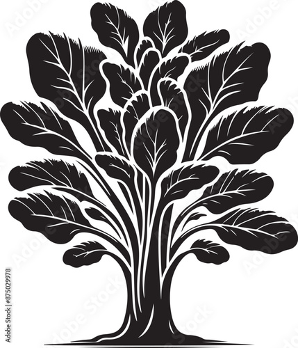 bok choy Tree, vector black color silhouette