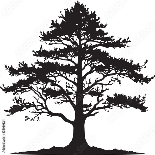 Cedar Tree Silhouette Image, vector black color silhouette 