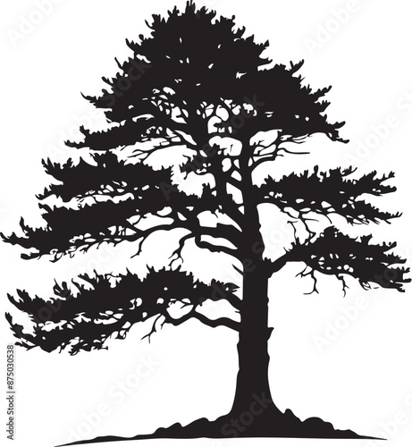 Cedar Tree Silhouette Image, vector black color silhouette 