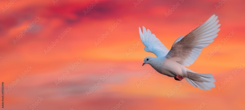 A dove soaring through a vibrant sky of mixed colors, copy space A dove soaring through a vibrant sky of mixed colors, copy space