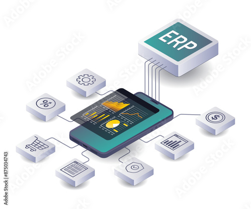 Analyzing ERP Applications for Business Network Development