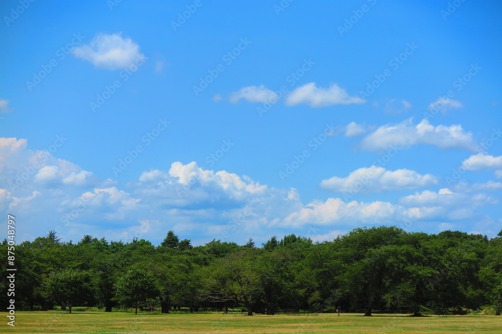 Obraz premium 暑い夏の日の広場の風景9