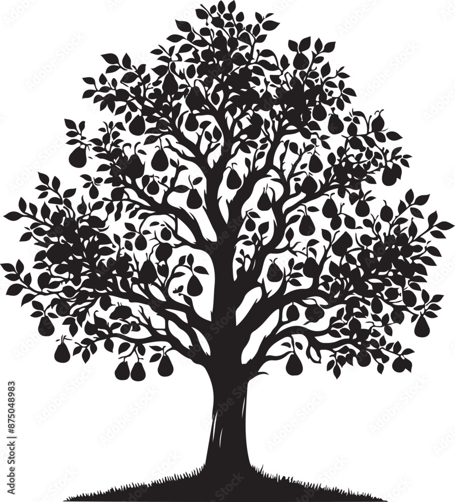 Obraz premium Pear Tree Silhouette Image, vector black color silhouette
