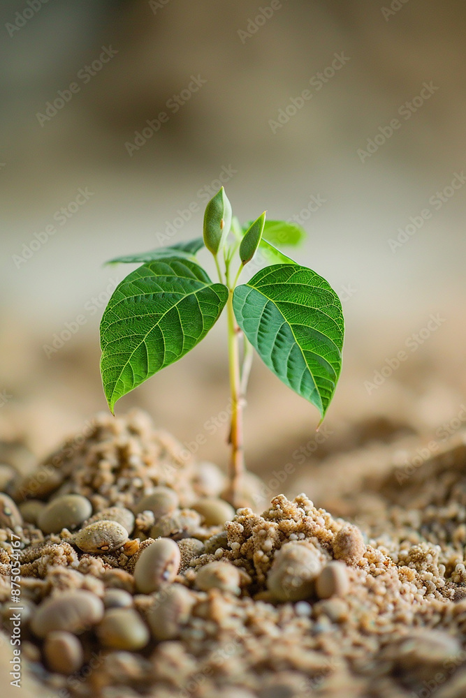 nature beauty growing a new born plant in a sand generated by AI nature beauty growing a new born plant in a sand generated by AI