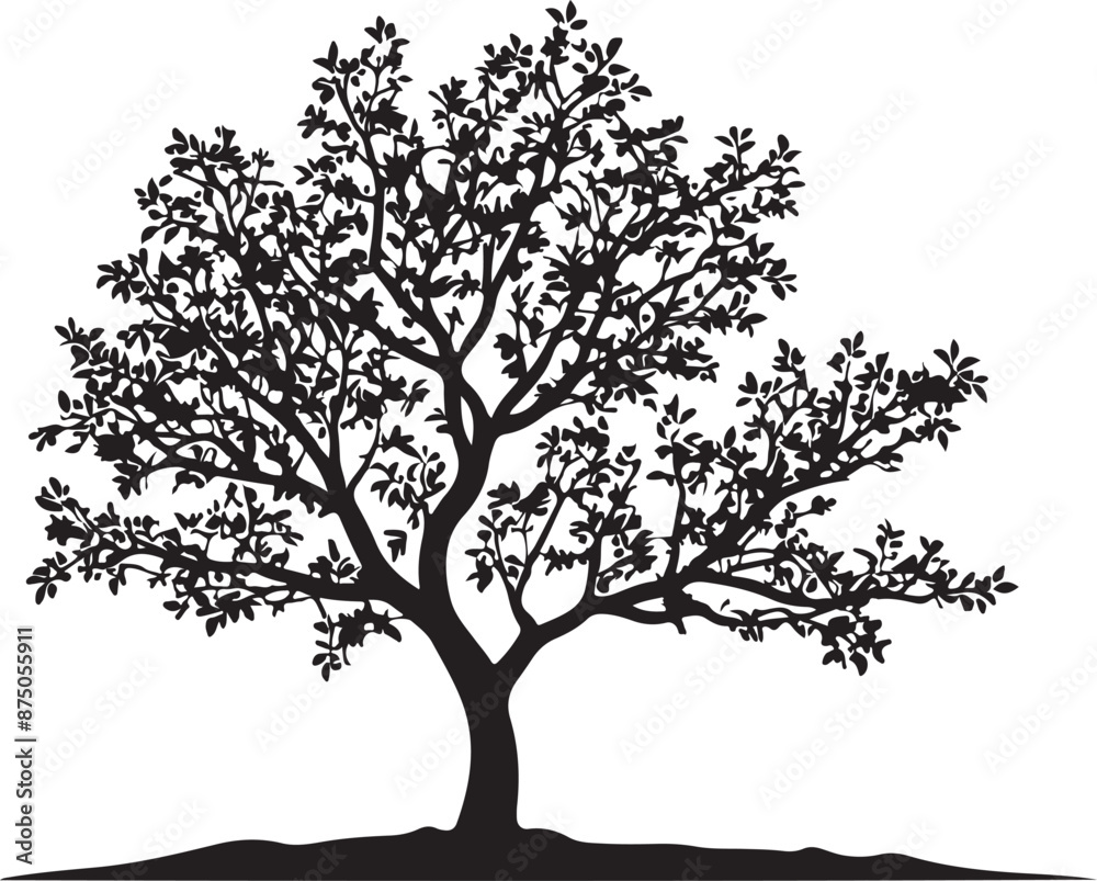 Obraz premium Willow Tree Silhouette Vector Art, vector black color silhouette