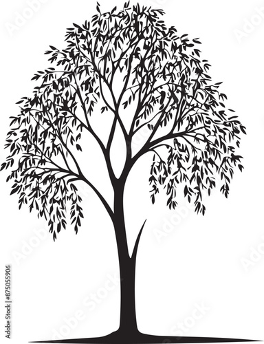 Willow Tree Silhouette Vector Art, vector black color silhouette