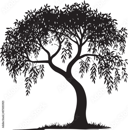 Willow Tree Silhouette Vector Art, vector black color silhouette