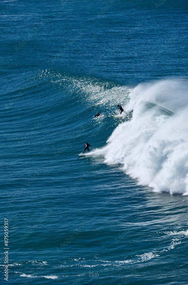 Sea surfing waves sunny coast Australia Coogee Sea surfing waves sunny coast Australia Coogee