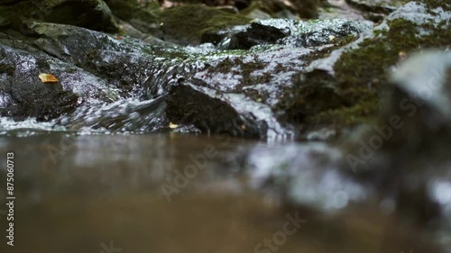 Flowing water stream with rocks and moss in nature