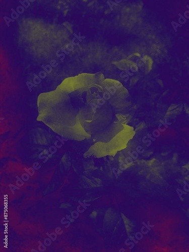 Amazing colorful background with flowers nature  illustration wallpaper design