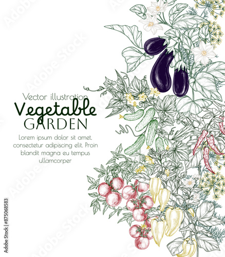 Vector frame of a blooming vegetable garden. Tomato, cucumbers, dill, pepper, chili pepper, eggplant