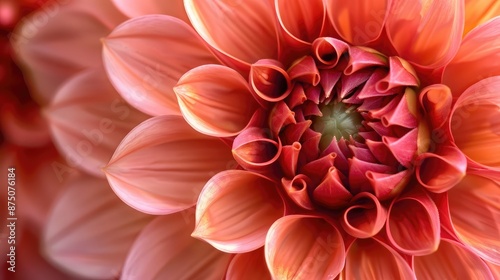 A vibrant bouquet of colorful flowers, nature gift of romance, Close-up of a pink flower with delicate petals, a natural wonder in full bloom, Macro image of a garden dahlia flower with dark petals 