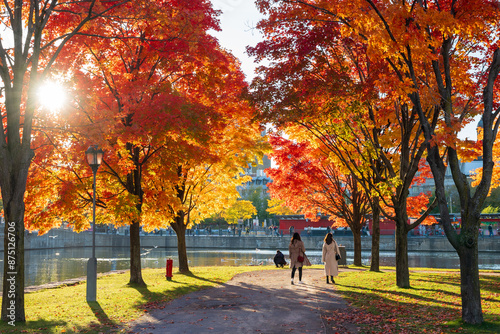 People are enjoying the red maples in Old Port of Montreal in autumn. Montreal, Quebec, Canada.