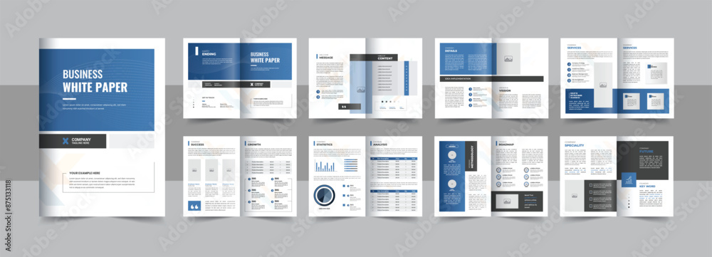 Business white paper design layout or booklet and business catalog design template vector layout