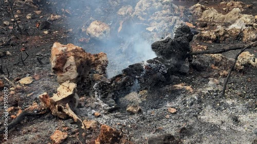 Wallpaper Mural fire in the forest Torontodigital.ca