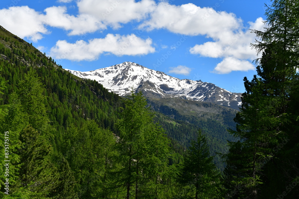 Schöne Landschaft im Ultental in Südtirol Schöne Landschaft im Ultental in Südtirol