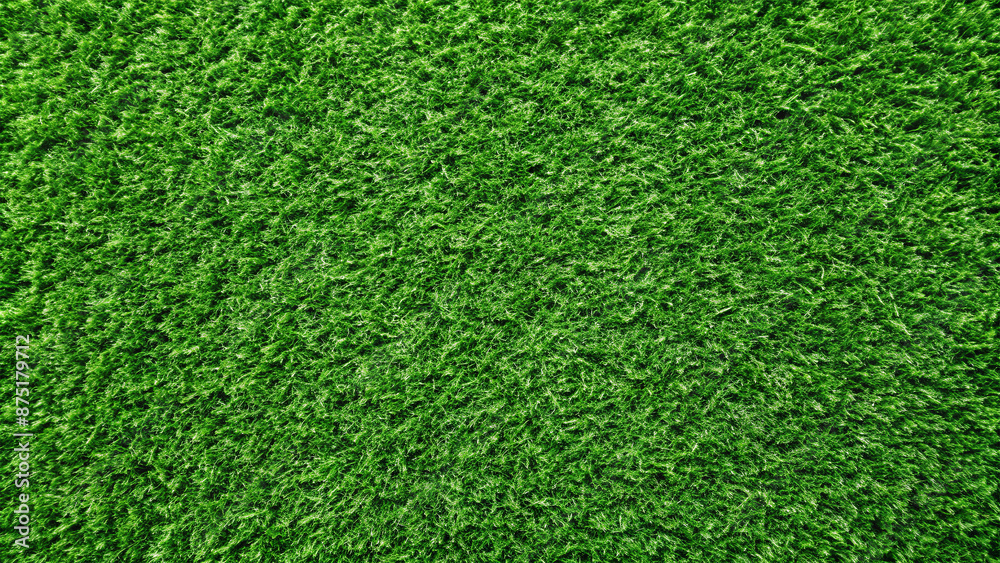 Obraz premium A close-up view of thick, lush green grass