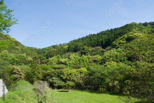 Chiba's mountain scenery with beautiful green color in May © Takayan