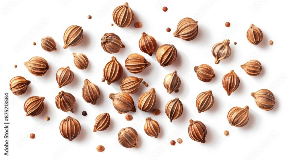Coriander seeds clipart, spice element, realistic illustration, brown, isolated on white background Coriander seeds clipart, spice element, realistic illustration, brown, isolated on white background