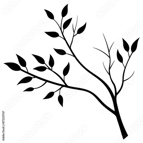 Silhouette of a Branch with Leaves