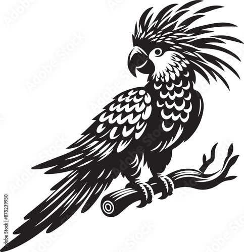 Art & Illustration bird vector illustration image