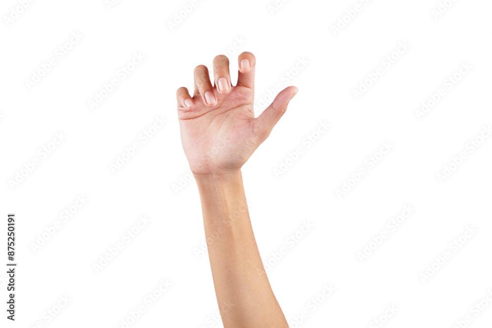 Obraz premium Hand holding something hand pose isolated transparent