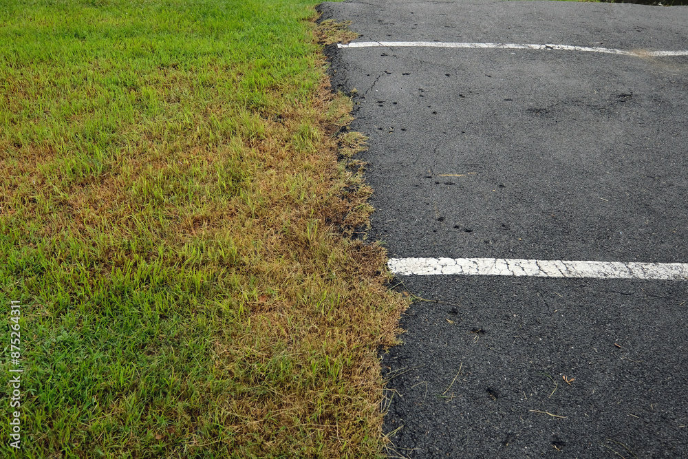 Fototapeta premium road in the countryside