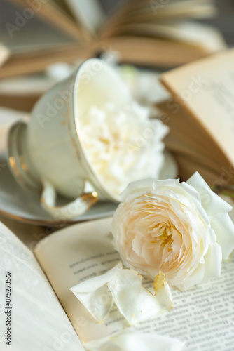 A cup of aromatic tea, a book and a rose on the table. May June July August.