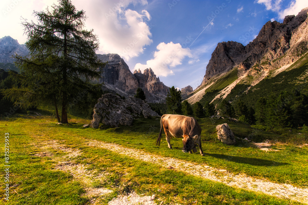 Obraz premium Trekking - Trentino