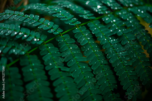 abstract background