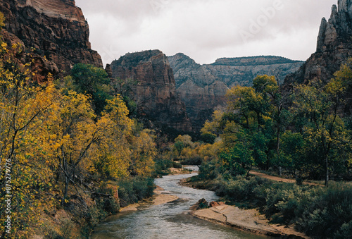 Cuadro en lienzo landscape in autumn, Zion National Park, Utah