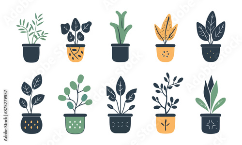 set of plants in pots , hand drawn colorful plants isolated vector on white background