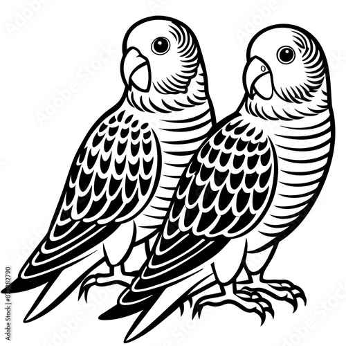 Parrots, Budgerigars, Cockatiels,Sparrow, Macaws silhouette and line art vector illustration design.