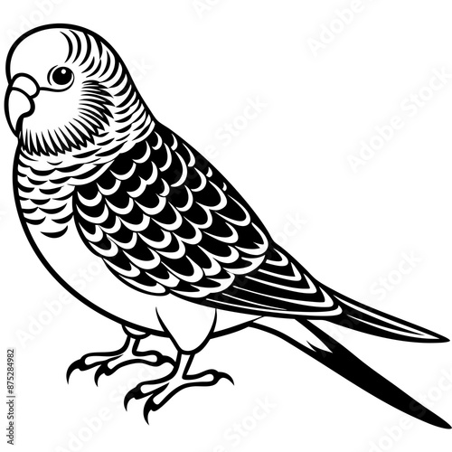 Parrots, Budgerigars, Cockatiels,Sparrow, Macaws silhouette and line art vector illustration design.