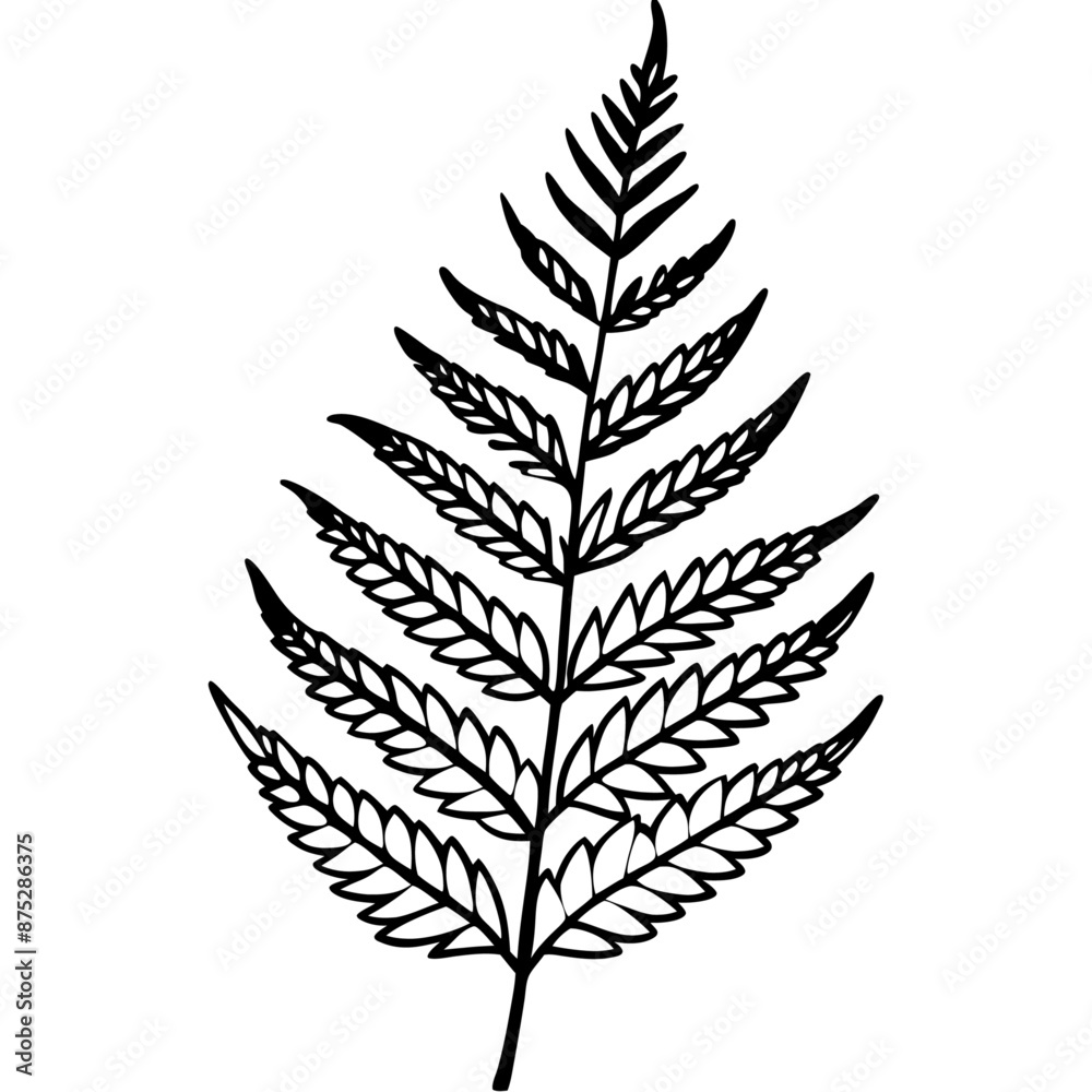 Naklejka premium fern outline coloring book page line art illustration digital drawing
