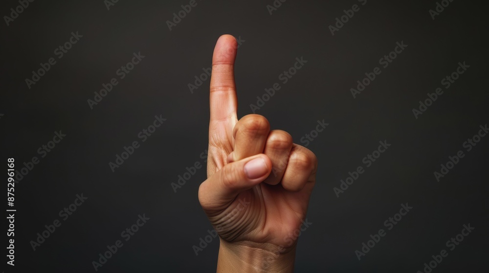 International Day of the Deaf. International Sign Language Day. sign language International Day of the Deaf. International Sign Language Day. sign language