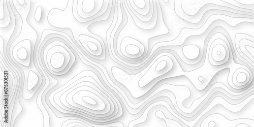 Vector white wave line geography landscape Topo contour map on white background. Geographic mountain relief diagram line wave carve pattern. Topographic world map contour lines map texture.