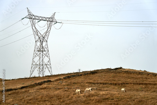 Torres y redes de distribución en la inmediaciones del pueblo de  Alcántara, Cáceres (Extremadura), España.