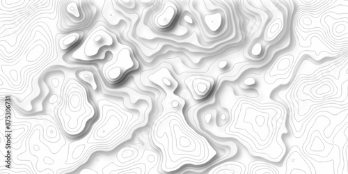 Vector white wave line geography landscape Topo contour map on white background. Geographic mountain relief diagram line wave carve pattern. Topographic world map contour lines map texture background.