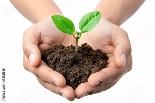 Hands holding soil with green plant sprouting. Conceptual image for growth, nature, and care. Beautifully captures the essence of nurturing. Suitable for environmental topics. Generative AI © Olsek