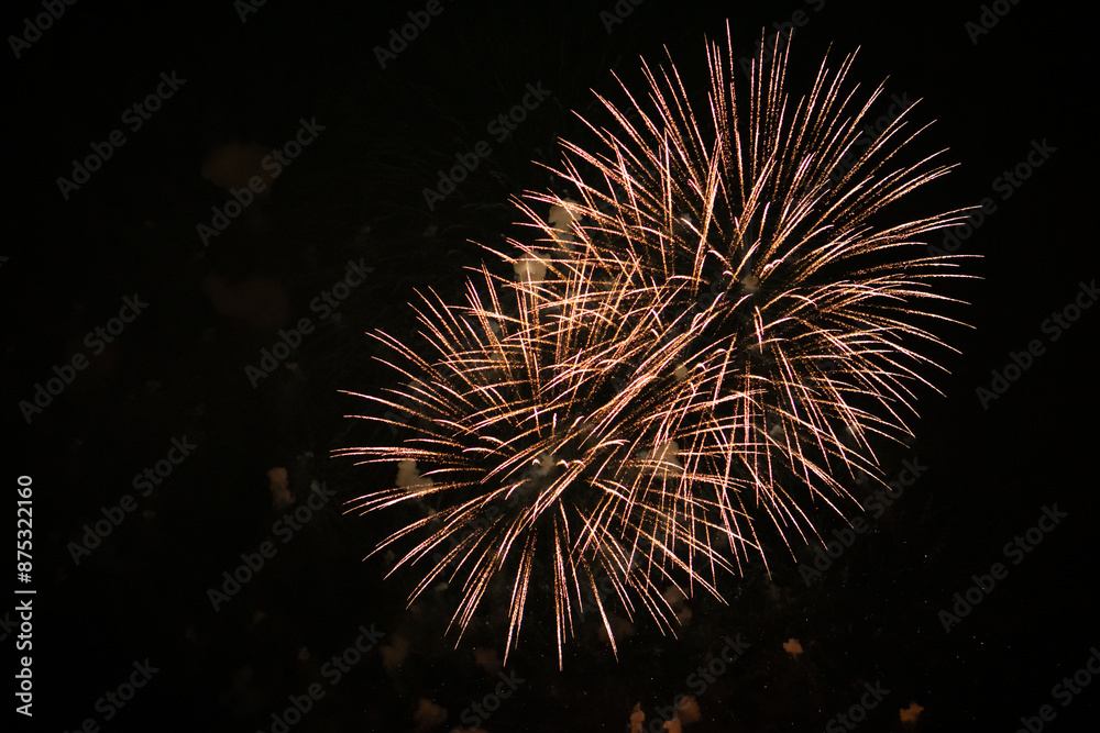 Bright multi-coloured fireworks on the black sky background. Fireworks competition in Montreal. Firework shot with selective focus and copy space. Flower-like fireworks on the sky. Bright multi-coloured fireworks on the black sky background. Fireworks competition in Montreal. Firework shot with selective focus and copy space. Flower-like fireworks on the sky.
