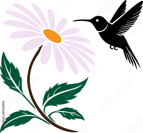 Illustration of a hummingbird hovering by a daisy flower with green leaves. Perfect for nature, wildlife, and botanical themes.