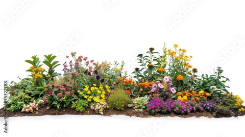 Fototapeta Naklejka Na Ścianę i Meble -  Cut out flowerbed. Plants and flowers isolated on white background. Flower bed for garden design or landscaping. High quality image for professional composition.