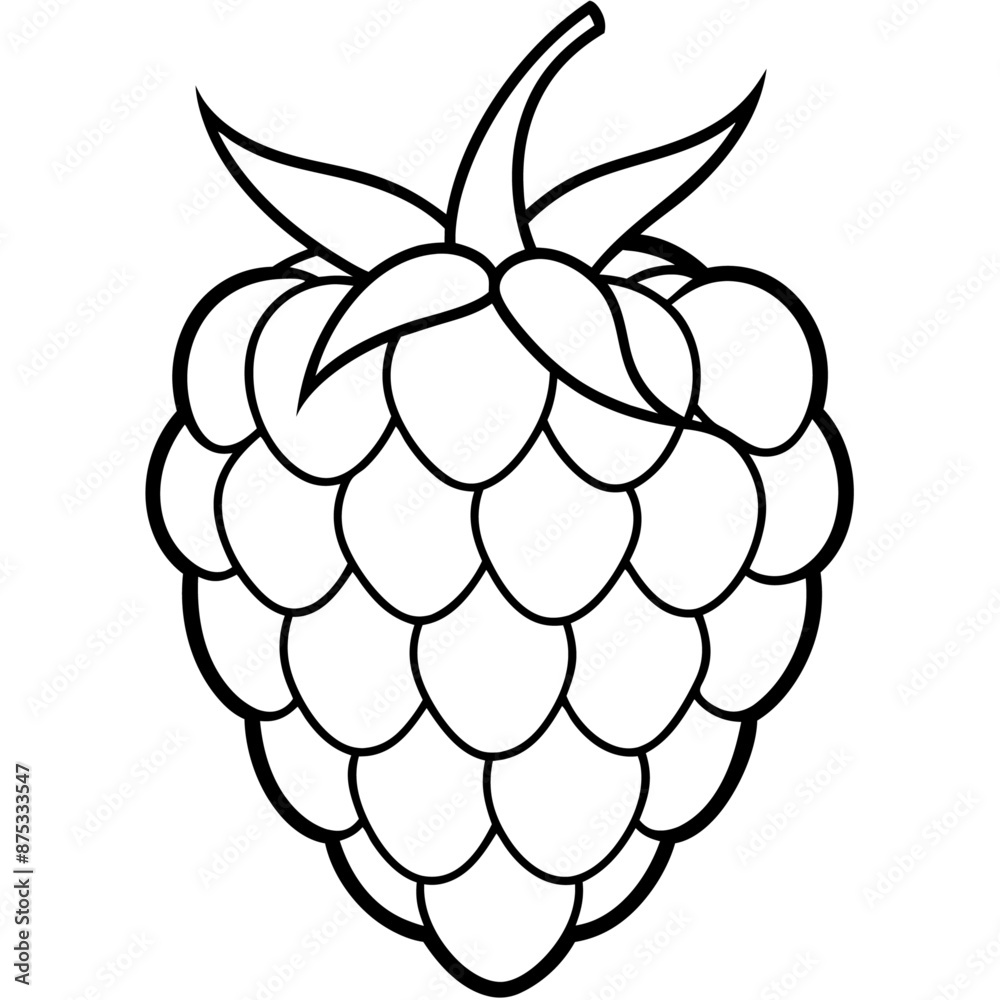 raspberrie outline coloring book page line art illustration digital drawing raspberrie outline coloring book page line art illustration digital drawing
