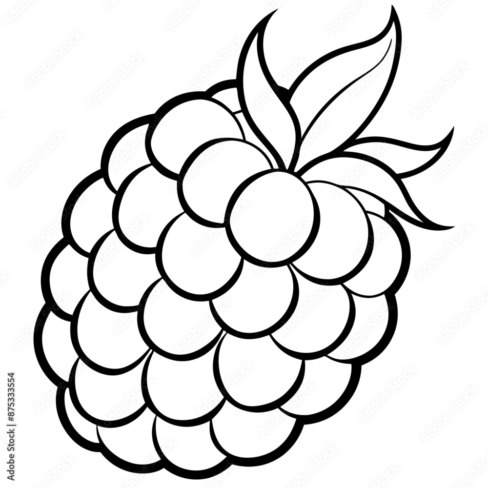 raspberrie outline coloring book page line art illustration digital drawing